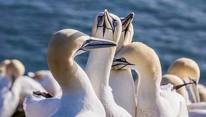 中国女足国际友谊赛中表现出众