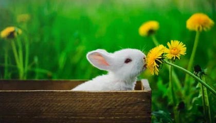 马赛客场鏖战绝杀喜获关键三分